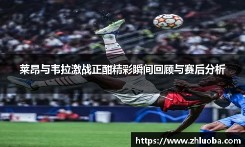 yy体育