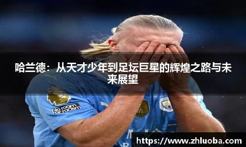 yy体育
