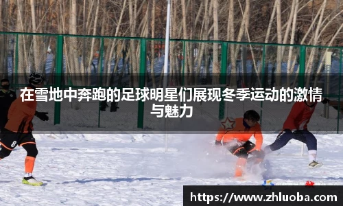 yy体育